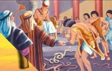 الحية والثعبان ... إعجاز بياني في قصة موسى عليه السلام