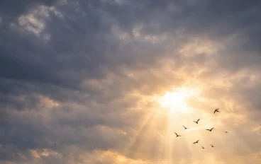 ومن يتقِ الله يجعل له مخرجًا 