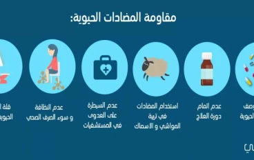 المضادات الحيوية: سلاح فعّال إذا استُخدم بوعي… وخطر صامت إذا أُسيء استعماله