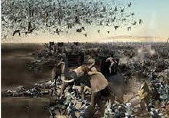 قصة أصحاب الفيل