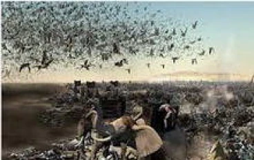 قصة أصحاب الفيل