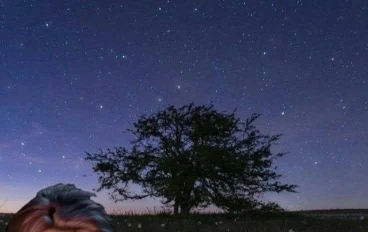 هل الحب والامان وجهان لعملة واحده 