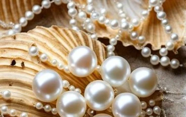 اللــؤلــؤ… هدية البحار الخالدة