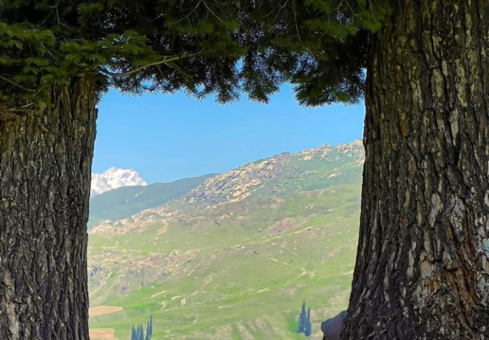 "عشان روحك تستاهل تفرح ... إزاي تخطف لحظة هدوء في وسط الدوشة ؟؟" 💞🌺