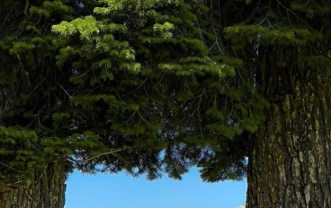 "عشان روحك تستاهل تفرح ... إزاي تخطف لحظة هدوء في وسط الدوشة ؟؟" 💞🌺