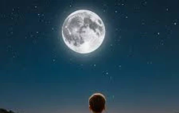 صعود الندى العربي