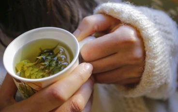 ضخ المريمية للهبات الساخنة والزنجبيل للانتفاخ... حتى تتمكن من تطبيق ركوب الدراجات الشاي في سن اليأس