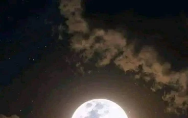 ☄️ نور في قلب الظلام: كيف يولد الأمل من رحم الألم ويصنع إنسانًا أقوى