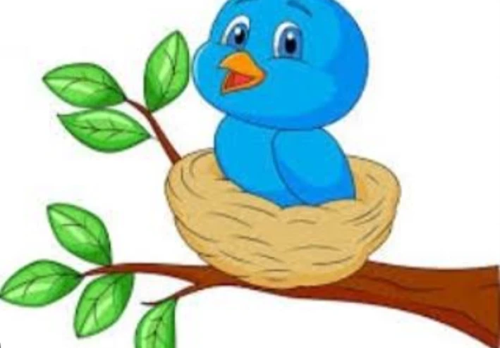 العصفور الصغير الشجاع