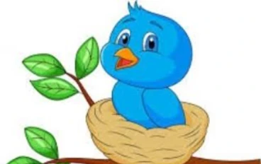 العصفور الصغير الشجاع