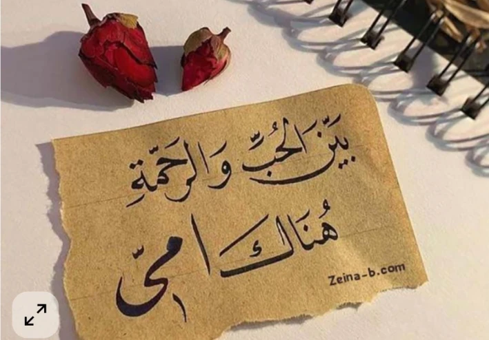 قصيدة عن الام