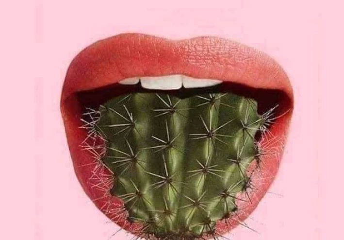 رحله الالم بين الشعور والتعبير