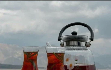 بتحب تشرب شاي؟ طب تعالي اتعرف عليه 