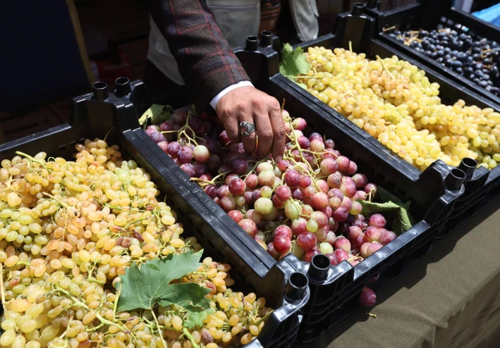 الطعام الذي يقلل من خطر الإصابة بالنوبات القلبية ، ويساعد على إنقاص الوزن ويقلل من نسبة الكوليسترول: "تحسن في صحتك"