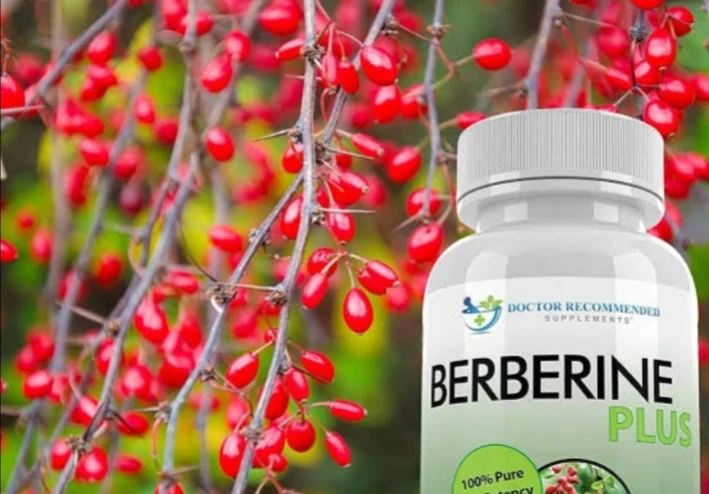 فوائد البربرين المزهلة