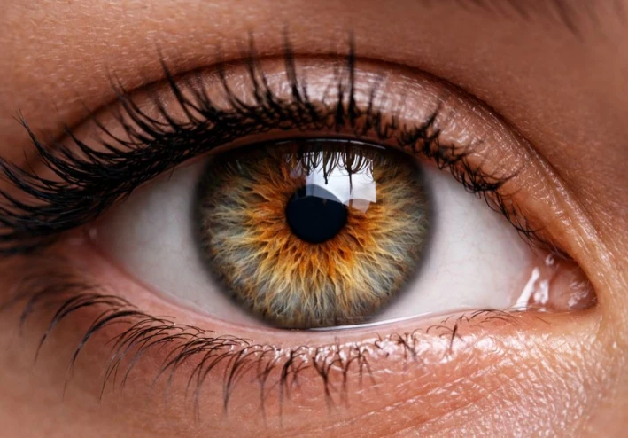 الماء الأبيض والماء الأزرق والماء الأسود في العين: الفرق بينها وأصل التسميات