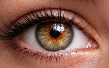 الماء الأبيض والماء الأزرق والماء الأسود في العين: الفرق بينها وأصل التسميات