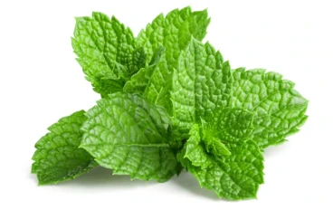 النعناع النعناع: التسريب الهضمي مع قرون من التقاليد