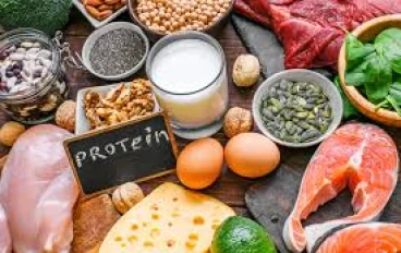 هل يعتبر الإفراط في تناول البروتين ضارًا للصحة؟