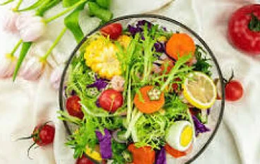 "فوائد السلطات الصحية المتنوعة وكيف تساهم في تعزيز المناعة وطاقة الجسم يوميًا".