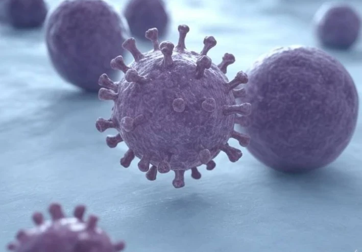 💉 فيروس نيباه القاتل | ما هو؟ أعراضه وطرق العدوى والوقاية منه