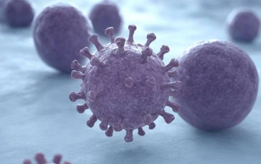 💉 فيروس نيباه القاتل | ما هو؟ أعراضه وطرق العدوى والوقاية منه