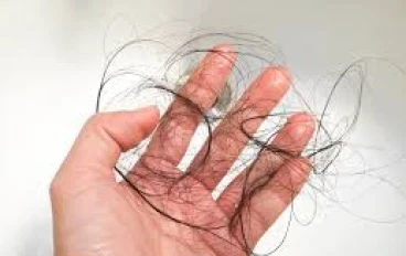 يذهب الإجهاد المزمن إلى الرأس: هذه هي الطريقة التي يبتلع بها الكورتيزول صحة فروة الرأس ويضعف الشعر