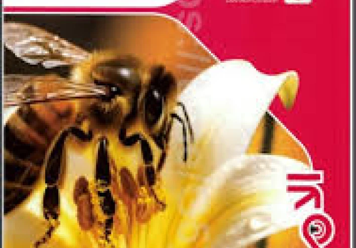 تحميل كتاب الامتحان شرح علوم الصف الثاني الإعدادي ترم ثاني 2026