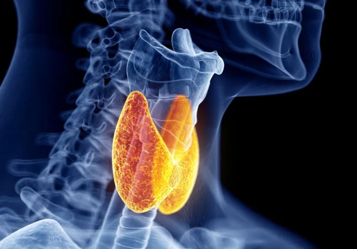 🫁 pothyroidism Uncovered: Symptoms, Causes, and What You Need to Know