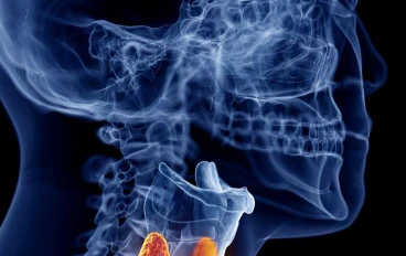 🫁 pothyroidism Uncovered: Symptoms, Causes, and What You Need to Know