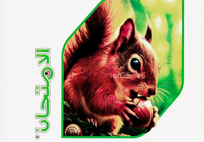 تحميل كتاب الامتحان مادة العلوم الصف الأول الإعدادي ٢٠٢٦