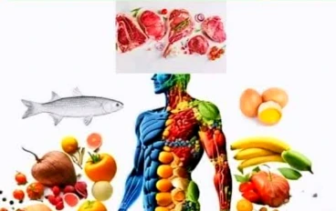 برنامج التغذيه الصحيه 