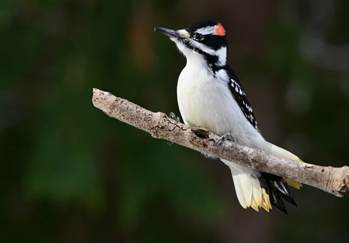 طريقك نحو الثقافة