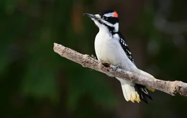 طريقك نحو الثقافة