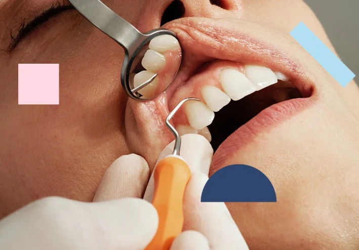 كيف"تتكاثر البكتيريا في الليل"؟