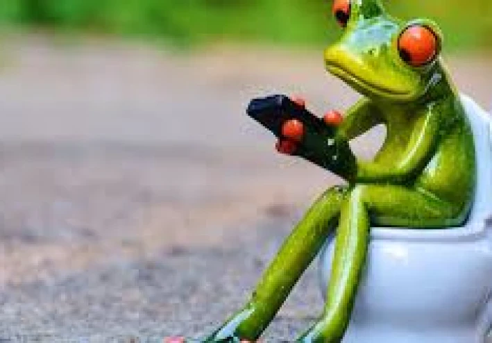 تحذر من خطر دخول الحمام بالهاتف المحمول: "أنت تفعل ذلك بشكل رهيب"