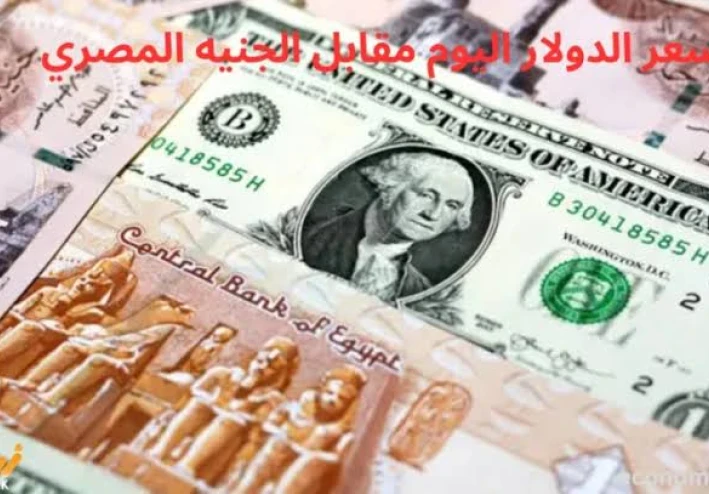 📉 الدولار مقابل الجنيه المصري في 2026: هل انتهى تراجع العملة الخضراء؟
