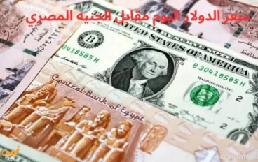📉 الدولار مقابل الجنيه المصري في 2026: هل انتهى تراجع العملة الخضراء؟
