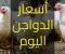 صورة مقال 📈 بورصة الدواجن اليوم الجمعة 6-2-2026 — أسعار الفراخ البيضاء في مصر (محدث بالكامل لمنصة “أموالِى”) 🇪🇬