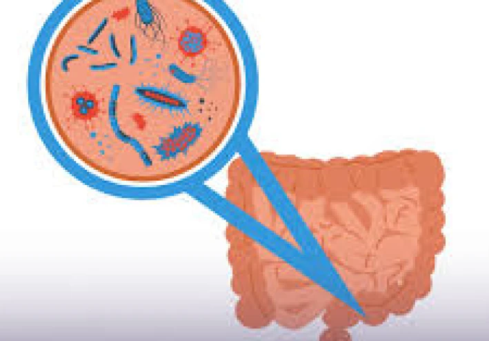 القناة الهضمية المتسربة: ما هي ولماذا تحدث وكيف تؤثر علينا