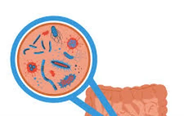 القناة الهضمية المتسربة: ما هي ولماذا تحدث وكيف تؤثر علينا