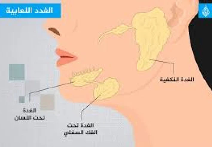 جفاف الفم: كيفية الانتقال من شروق الشمس في الصحراء إلى الاستيقاظ برائحة منعشة