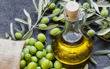 يساعد زيت الزيتون البكر على الحفاظ على الصحة المعرفية لكبار السن من خلال الجراثيم المعوية