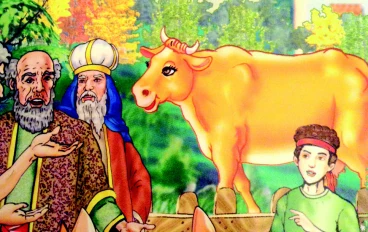 موسى والبقرة الصفراء 