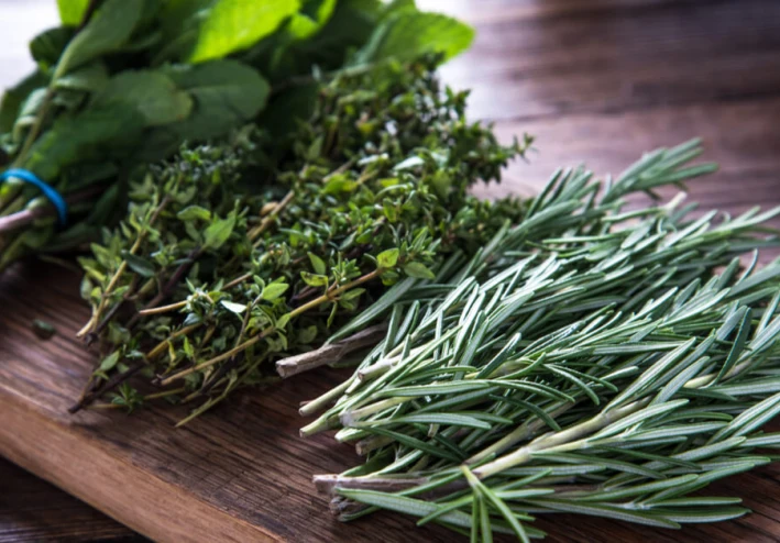 5 أنواع من الأعشاب التي يجب أن تأخذها للنوم ، والحصول على هضم جيد وفقدان الوزن