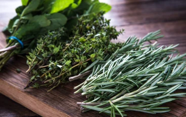 5 أنواع من الأعشاب التي يجب أن تأخذها للنوم ، والحصول على هضم جيد وفقدان الوزن