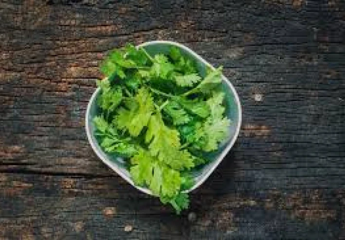 الكزبرة ، تلك العشبة العطرية التي اضطهدتها محاكم التفتيش لكونها من اليهود ، والتي تضفي نكهة على الطبق وطول العمر على حياتك