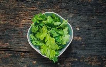 الكزبرة ، تلك العشبة العطرية التي اضطهدتها محاكم التفتيش لكونها من اليهود ، والتي تضفي نكهة على الطبق وطول العمر على حياتك