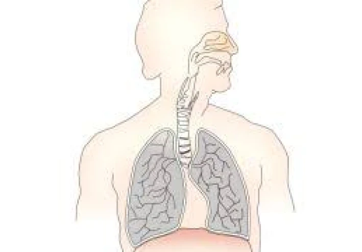 لماذا يصاب المزيد والمزيد من الأشخاص الذين لم يدخنوا أبدا بسرطان الرئة