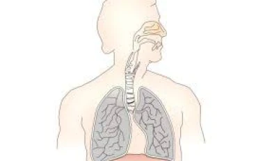   لماذا يصاب المزيد والمزيد من الأشخاص الذين لم يدخنوا أبدا بسرطان الرئة